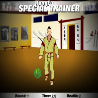 Онлайн игра Kung Fu Trainer