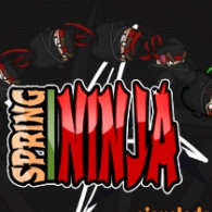 Game Dexterous ninjia. Spring Ninja is free, online, without registration