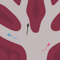Онлайн игра Большая гонка сперматазоидов (The Great Sperm Race)