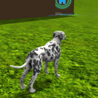 Онлайн игра Dog Simulator 3D